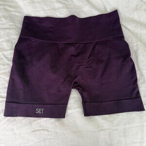 SET ACTIVE SCULPTFLEX® Bike Shorts – Fig – Size Large